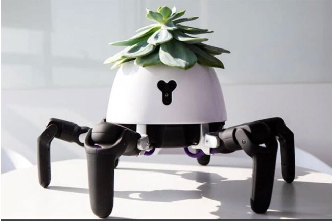 El robot HEXA ahora cuida tus plantas