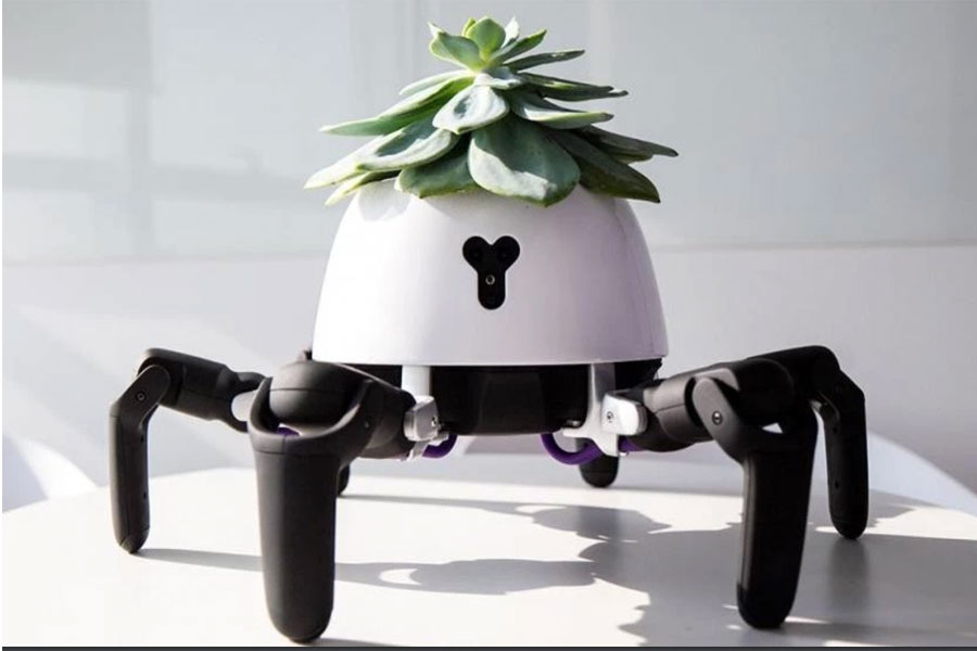 Robot cuida plantas